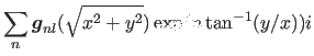 $\displaystyle \sum_{n} \mbox{\boldmath$g$}_{nl} (\sqrt{x^2+y^2})
\exp (n \tan^{-1} (y/x))i$